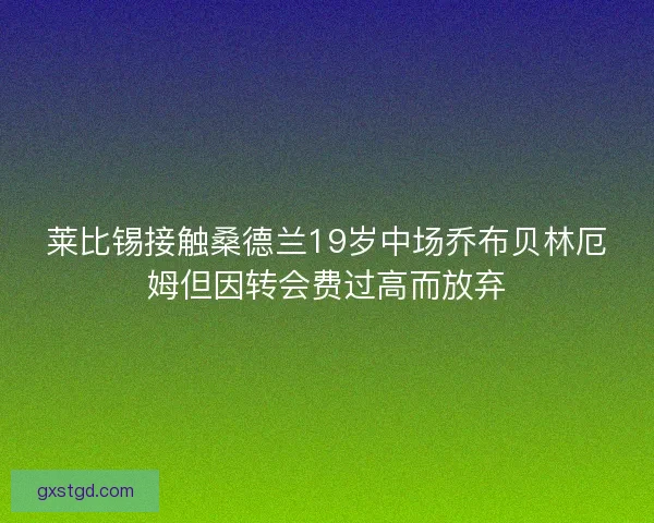 莱比锡接触桑德兰19岁中场乔布贝林厄姆但因转会费过高而放弃