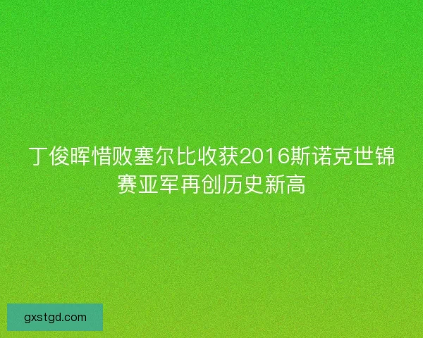 丁俊晖惜败塞尔比收获2016斯诺克世锦赛亚军再创历史新高 丁俊晖惜败塞尔比收获2016斯诺克世锦赛亚军再创历史新高