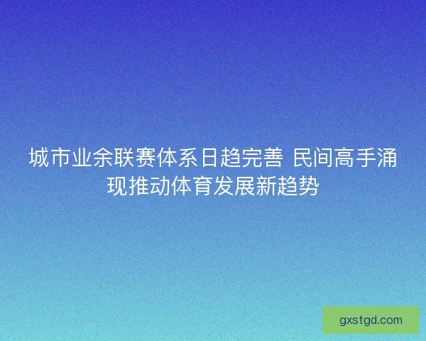 城市业余联赛体系日趋完善 民间高手涌现推动体育发展新趋势