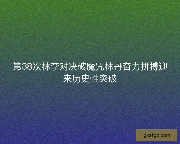 第38次林李对决破魔咒林丹奋力拼搏迎来历史性突破