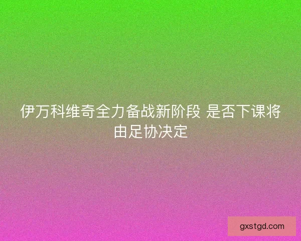 伊万科维奇全力备战新阶段 是否下课将由足协决定 伊万科维奇全力备战新阶段 是否下课将由足协决定
